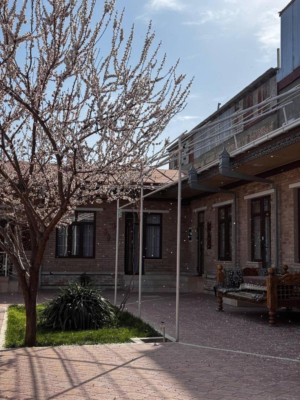 Salomat Guest House Samarkand Eksteriør bilde